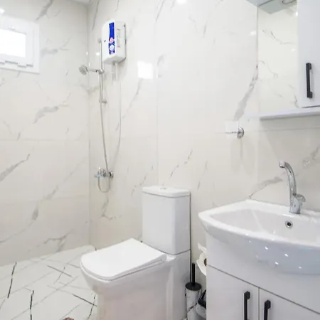 Fully Furnished Extraordinary Flat In 公寓 费特希耶